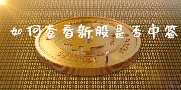 如何查看新股是否中签_https://www.fcdydaikuan.com_恒指期货直播_第1张