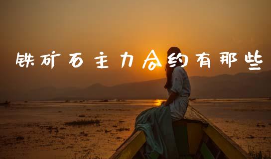 铁矿石主力合约有那些_https://www.fcdydaikuan.com_德指期货直播_第1张