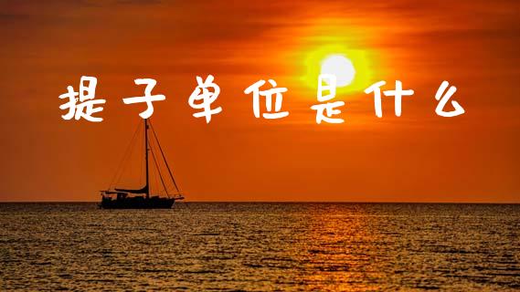 提子单位是什么_https://www.fcdydaikuan.com_恒生指数直播室_第1张