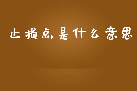 止损点是什么意思_https://www.fcdydaikuan.com_恒生指数直播室_第1张