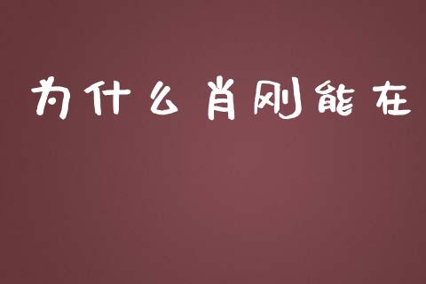 为什么肖刚能在_https://www.fcdydaikuan.com_德指期货直播_第1张