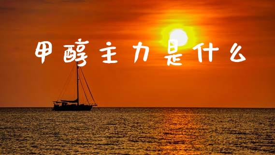 甲醇主力是什么_https://www.fcdydaikuan.com_德指期货直播_第1张