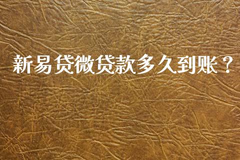新易贷微贷款多久到账？_https://www.fcdydaikuan.com_恒生指数直播室_第1张