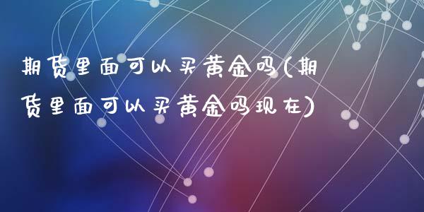 期货里面可以买黄金吗(期货里面可以买黄金吗现在)_https://www.fcdydaikuan.com_黄金期货直播_第1张