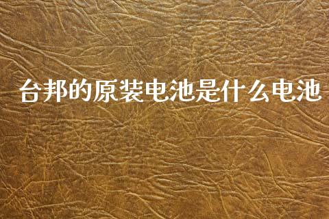 台邦的原装电池是什么电池_https://www.fcdydaikuan.com_黄金期货直播_第1张