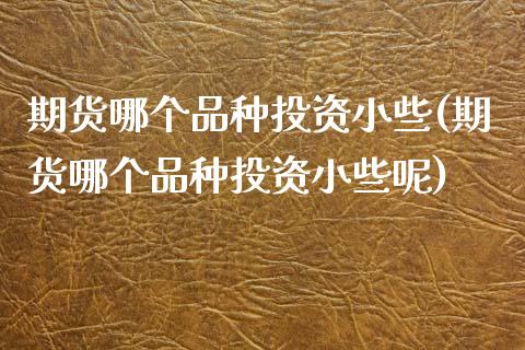 期货哪个品种投资小些(期货哪个品种投资小些呢)_https://www.fcdydaikuan.com_黄金期货直播_第1张