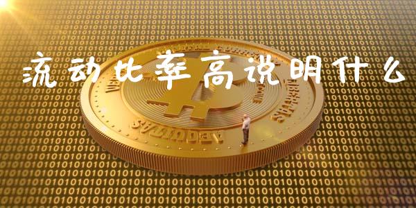 流动比率高说明什么_https://www.fcdydaikuan.com_恒指期货直播_第1张