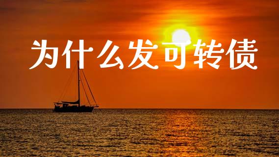 为什么发可转债_https://www.fcdydaikuan.com_恒指期货直播_第1张