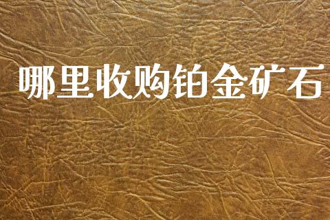 哪里收购铂金矿石_https://www.fcdydaikuan.com_黄金期货直播_第1张