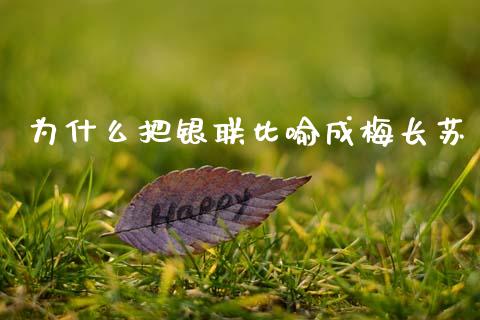 为什么把银联比喻成梅长苏_https://www.fcdydaikuan.com_恒生指数直播室_第1张