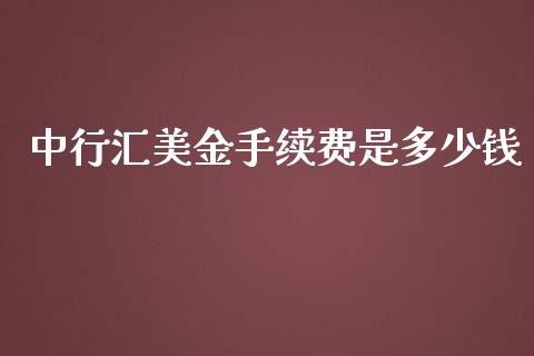 中行汇美金手续费是多少钱_https://www.fcdydaikuan.com_恒生指数直播室_第1张