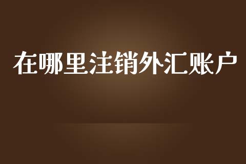 在哪里注销外汇账户_https://www.fcdydaikuan.com_黄金期货直播_第1张