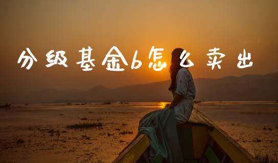分级基金b怎么卖出_https://www.fcdydaikuan.com_恒指期货直播_第1张