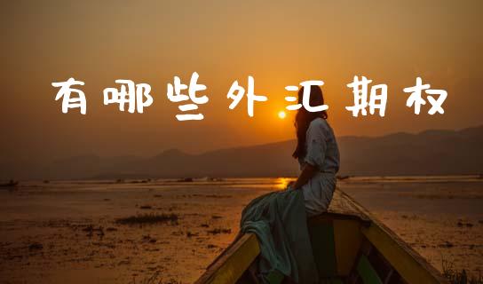 有哪些外汇期权_https://www.fcdydaikuan.com_恒生指数直播室_第1张