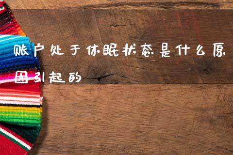 账户处于休眠状态是什么原因引起的_https://www.fcdydaikuan.com_德指期货直播_第1张