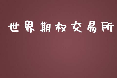 世界期权交易所_https://www.fcdydaikuan.com_恒指期货直播_第1张