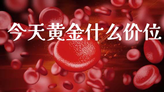 今天黄金什么价位_https://www.fcdydaikuan.com_恒指期货直播_第1张
