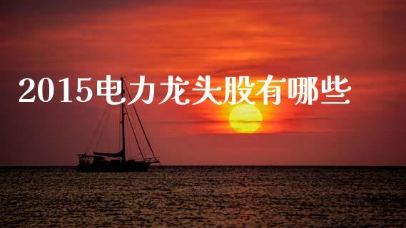 2015电力龙头股有哪些_https://www.fcdydaikuan.com_黄金期货直播_第1张