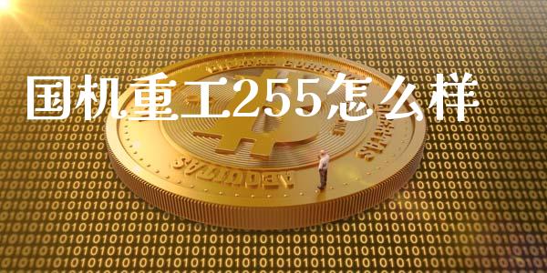 国机重工255怎么样_https://www.fcdydaikuan.com_恒指期货直播_第1张