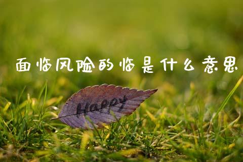 面临风险的临是什么意思_https://www.fcdydaikuan.com_恒指期货直播_第1张