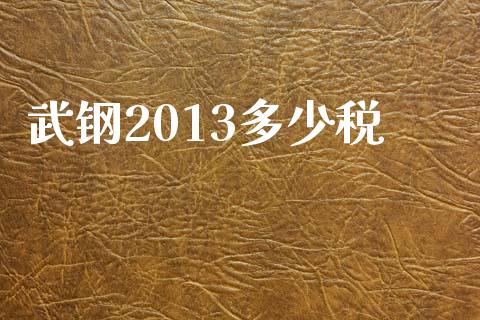 武钢2013多少税_https://www.fcdydaikuan.com_恒生指数直播室_第1张