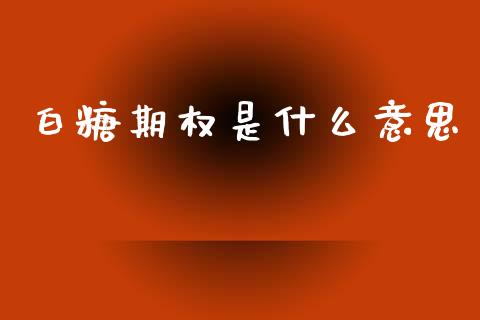 白糖期权是什么意思_https://www.fcdydaikuan.com_恒生指数直播室_第1张