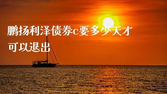 鹏扬利泽债券c要多少天才可以退出_https://www.fcdydaikuan.com_恒指期货直播_第1张