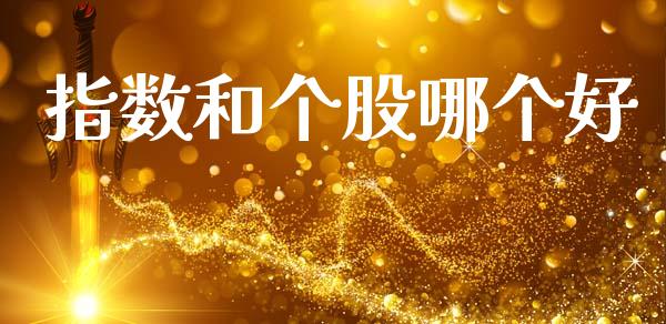 指数和个股哪个好_https://www.fcdydaikuan.com_黄金期货直播_第1张