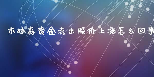 木林森资金流出股价上涨怎么回事_https://www.fcdydaikuan.com_恒生指数直播室_第1张