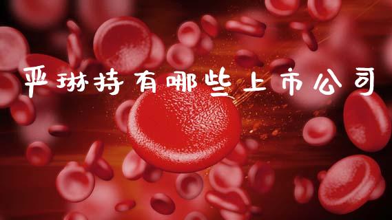 严琳持有哪些上市公司_https://www.fcdydaikuan.com_恒生指数直播室_第1张