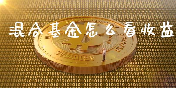 混合基金怎么看收益_https://www.fcdydaikuan.com_恒生指数直播室_第1张