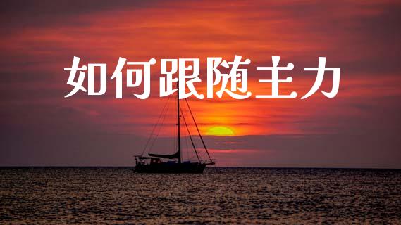 如何跟随主力_https://www.fcdydaikuan.com_恒生指数直播室_第1张