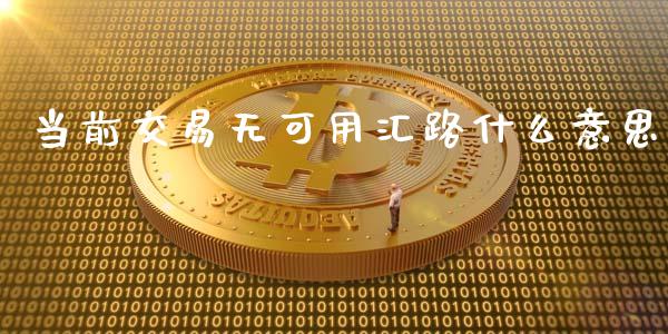 当前交易无可用汇路什么意思_https://www.fcdydaikuan.com_恒生指数直播室_第1张