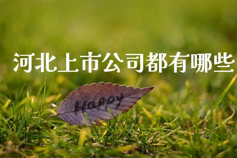 河北上市公司都有哪些_https://www.fcdydaikuan.com_德指期货直播_第1张