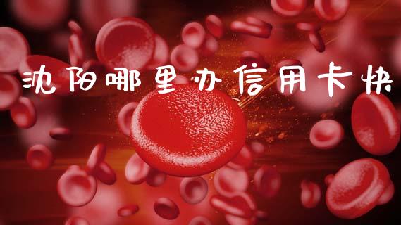 沈阳哪里办信用卡快_https://www.fcdydaikuan.com_黄金期货直播_第1张