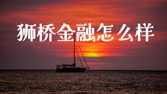 狮桥金融怎么样_https://www.fcdydaikuan.com_恒生指数直播室_第1张
