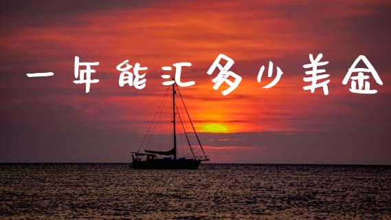 一年能汇多少美金_https://www.fcdydaikuan.com_恒生指数直播室_第1张
