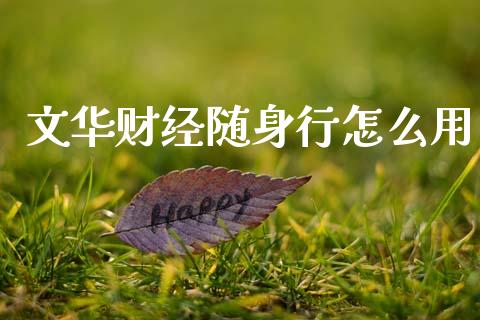 文华财经随身行怎么用_https://www.fcdydaikuan.com_恒指期货直播_第1张