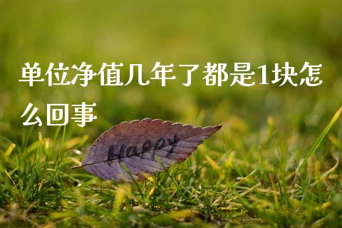 单位净值几年了都是1块怎么回事_https://www.fcdydaikuan.com_黄金期货直播_第1张