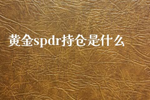 黄金spdr持仓是什么_https://www.fcdydaikuan.com_恒生指数直播室_第1张