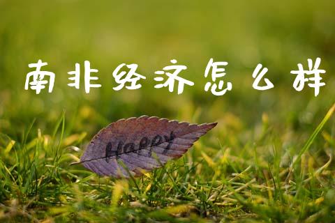 南非经济怎么样_https://www.fcdydaikuan.com_恒指期货直播_第1张