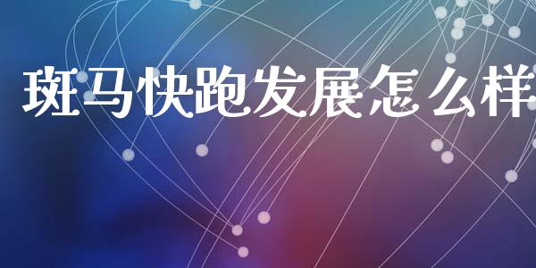 斑马快跑发展怎么样_https://www.fcdydaikuan.com_德指期货直播_第1张