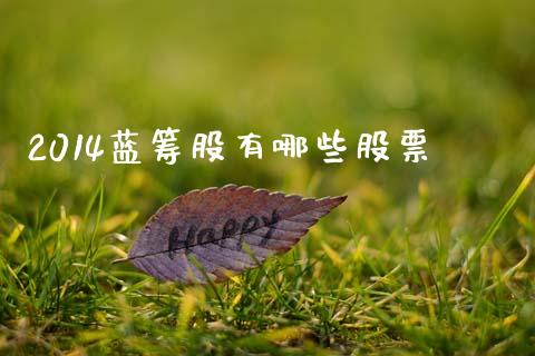 2014蓝筹股有哪些股票_https://www.fcdydaikuan.com_德指期货直播_第1张
