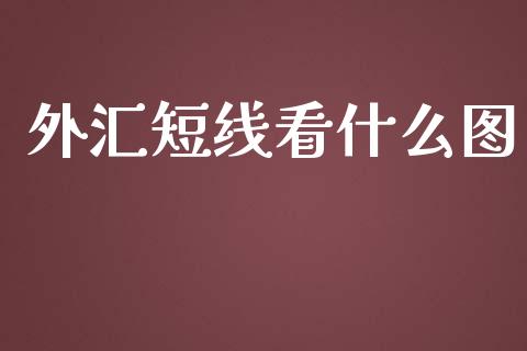 外汇短线看什么图_https://www.fcdydaikuan.com_恒指期货直播_第1张