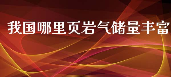 我国哪里页岩气储量丰富_https://www.fcdydaikuan.com_德指期货直播_第1张