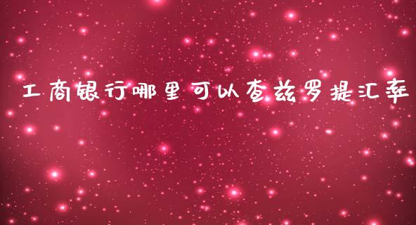 工商银行哪里可以查兹罗提汇率_https://www.fcdydaikuan.com_黄金期货直播_第1张