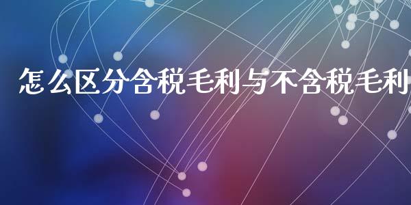 怎么区分含税毛利与不含税毛利_https://www.fcdydaikuan.com_德指期货直播_第1张