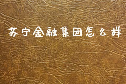 苏宁金融集团怎么样_https://www.fcdydaikuan.com_德指期货直播_第1张
