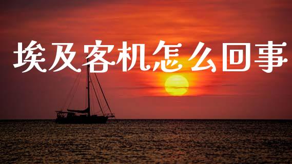 埃及客机怎么回事_https://www.fcdydaikuan.com_黄金期货直播_第1张