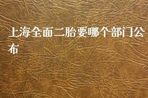上海全面二胎要哪个部门公布_https://www.fcdydaikuan.com_德指期货直播_第1张